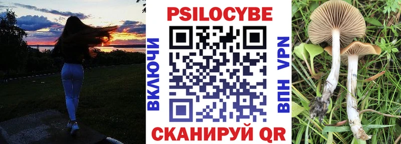 Галлюциногенные грибы Psilocybe  Среднеколымск 